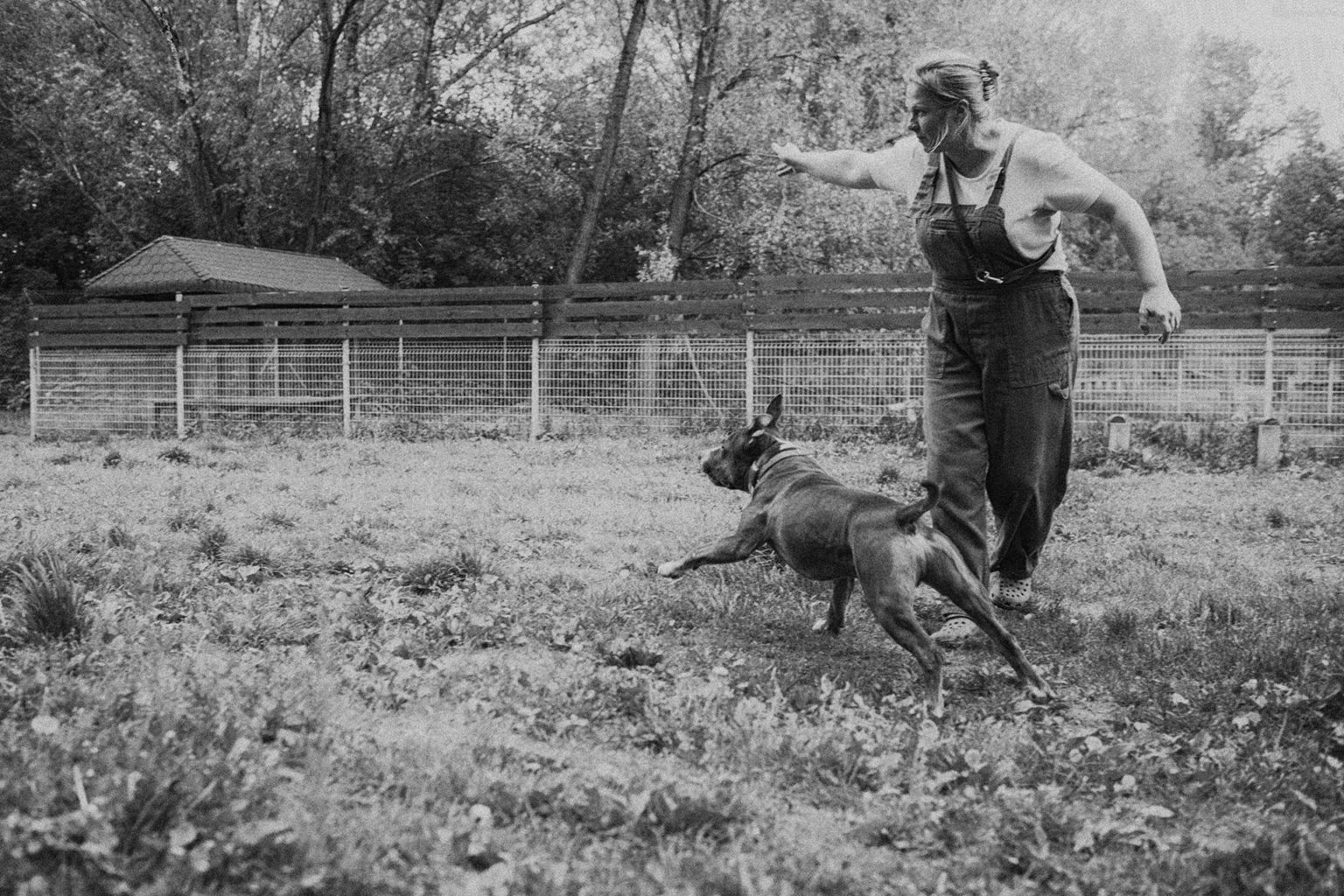 Zdjęcie 6 Opiekun bawi się z psem - Fotoreportaż Schronisko psów Na Paluchu